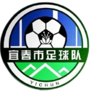 Yichun Team